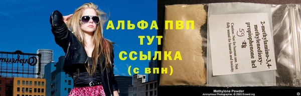 твердый Алексеевка