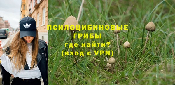 ешки Алексин