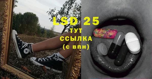 стафф Алзамай