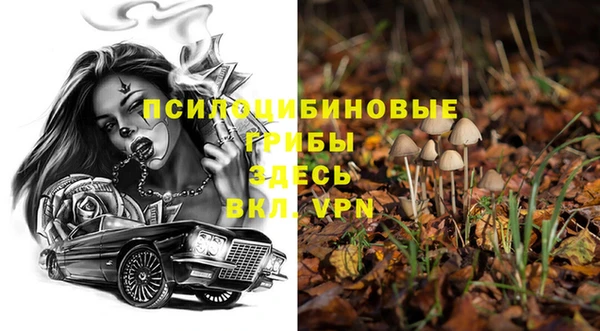 твердый Алексеевка
