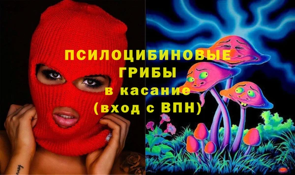 ешки Алексин