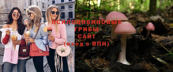 стафф Алзамай