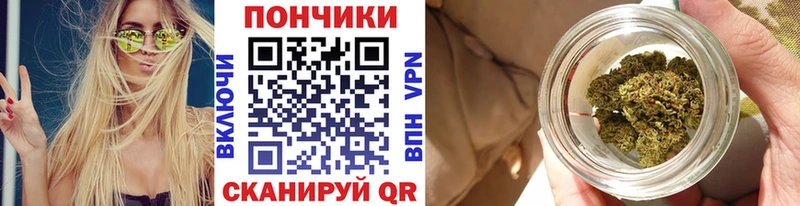 что такое Тайшет Шишки марихуана гибрид
